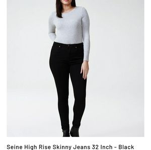 EUC Black Seine High Rise Skinny Jeans 18L